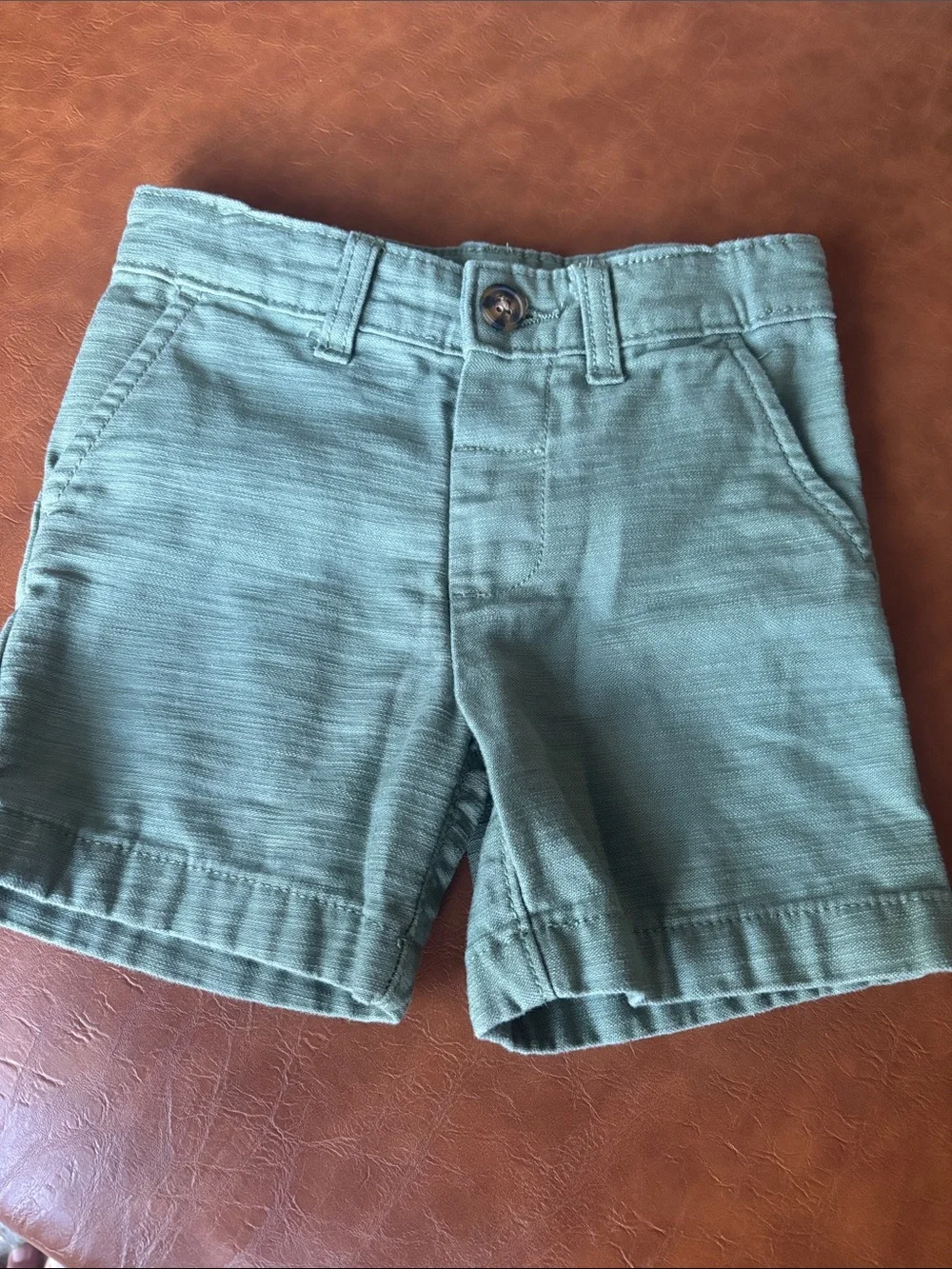 Carter’s Boys Green Shorts Size 2T
